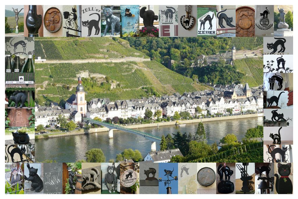 B&B Pension Winzerhaus Zell-Mosel Bagian luar foto