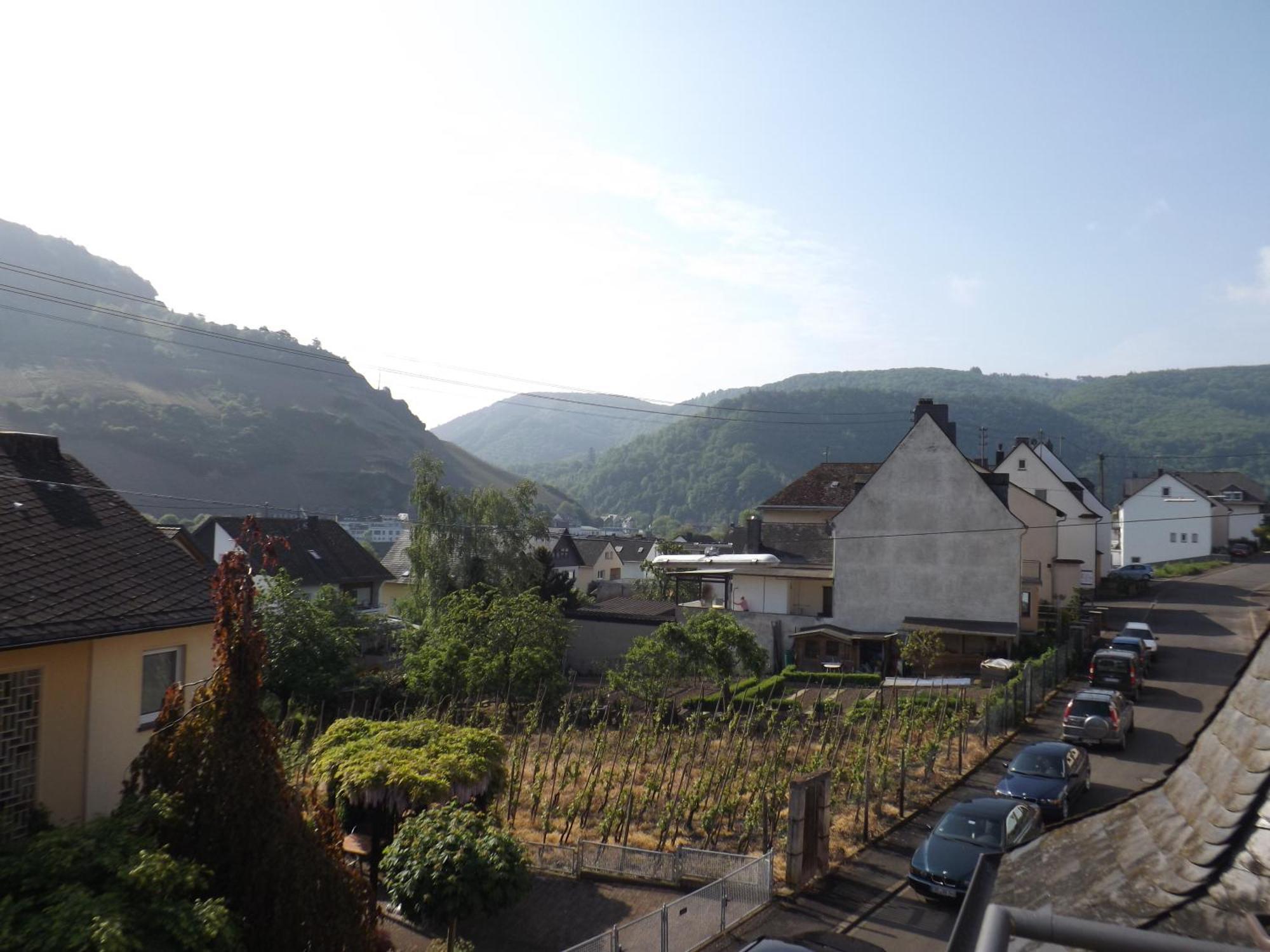 B&B Pension Winzerhaus Zell-Mosel Ruang foto